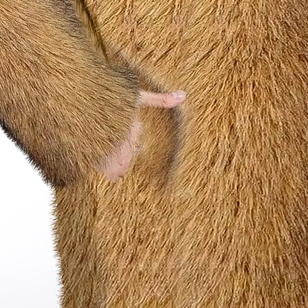 Kayl - stilfuld vinterfrakke til mænd for et sofistikeret look